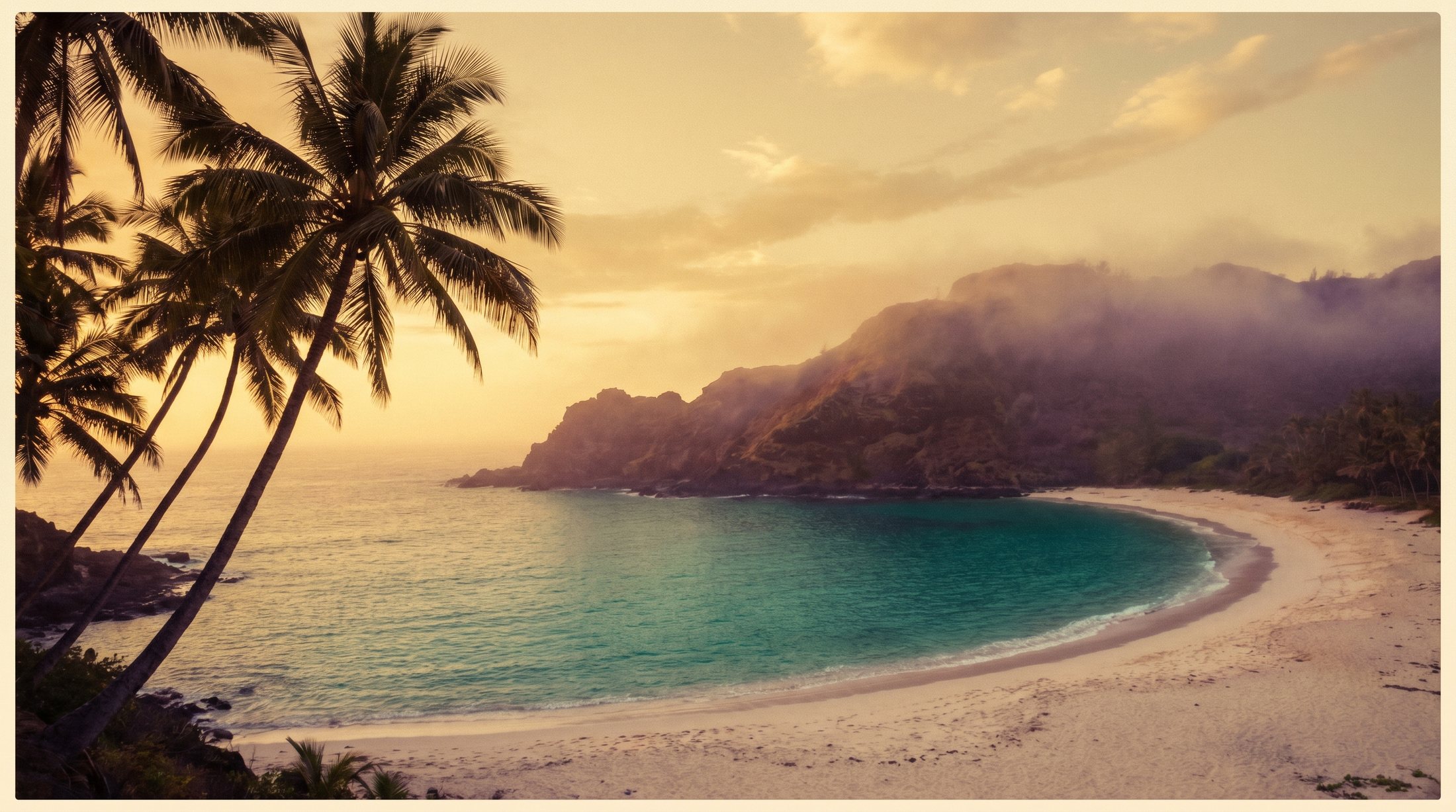 Palms leaning over a secluded Maui cove at dusk