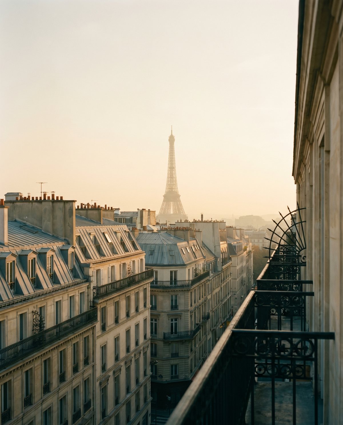 Haussmann rooftops and the Eiffel Tower at dusk